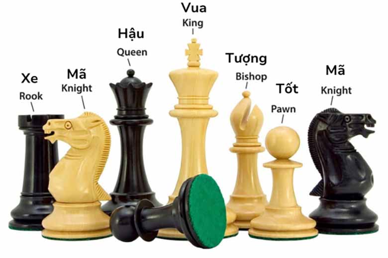 Luật chơi cờ vua đầy đủ: Cách đi quân và mẹo tránh sai lầm cơ bản 