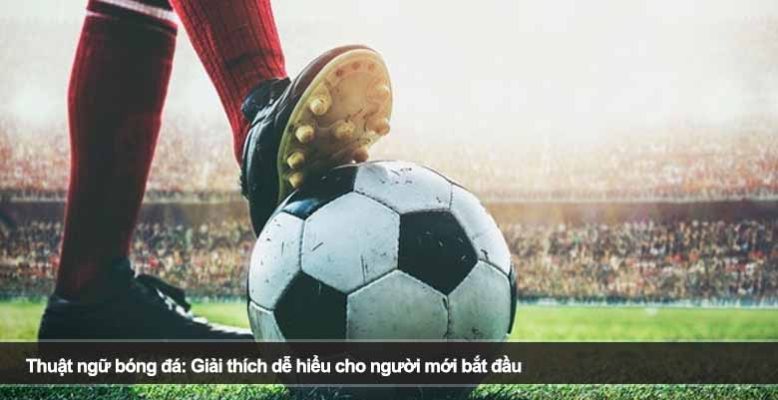 Thuật ngữ bóng đá: Giải thích dễ hiểu cho người mới bắt đầu