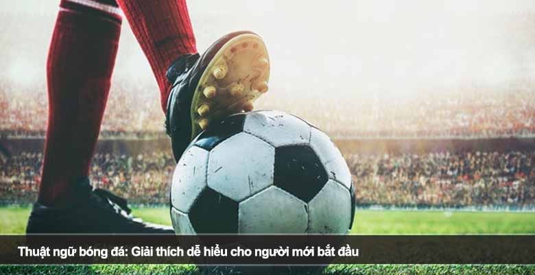Thuật ngữ bóng đá: Giải thích dễ hiểu cho người mới bắt đầu 
