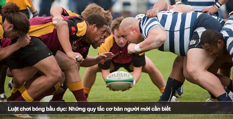 Luật chơi bóng bầu dục: Những quy tắc cơ bản người mới cần biết 
