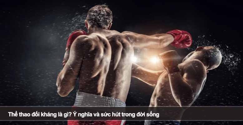 Thể thao đối kháng là gì? Ý nghĩa và sức hút trong đời sống