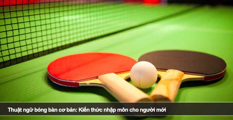 Thuật ngữ bóng bàn cơ bản: Kiến thức nhập môn cho người mới 