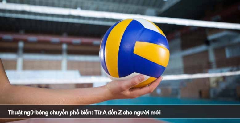 Thuật ngữ bóng chuyền phổ biến: Từ A đến Z cho người mới