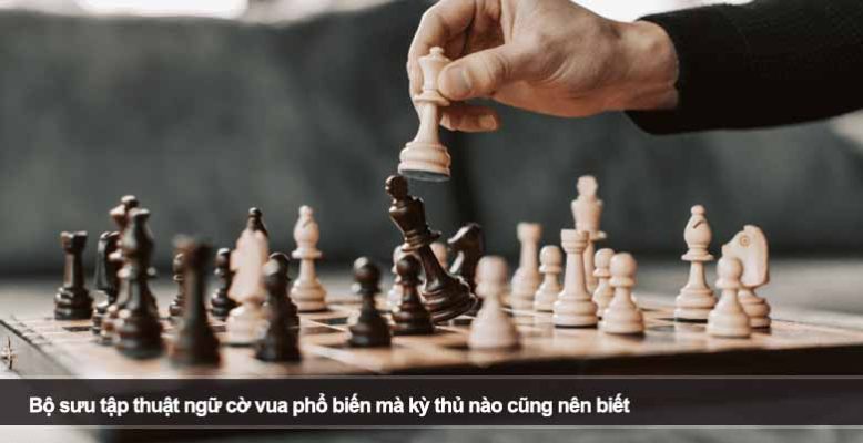 Bộ sưu tập thuật ngữ cờ vua phổ biến mà kỳ thủ nào cũng nên biết