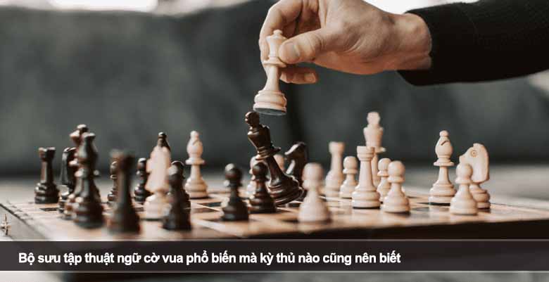 Bộ sưu tập thuật ngữ cờ vua phổ biến mà kỳ thủ nào cũng nên biết 