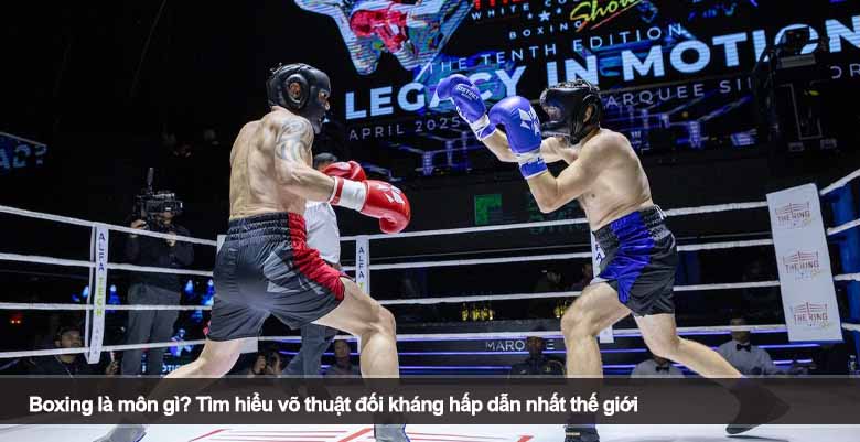 Boxing là môn gì? Tìm hiểu võ thuật đối kháng hấp dẫn nhất thế giới 