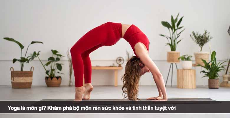 Yoga là môn gì? Khám phá bộ môn rèn sức khỏe và tinh thần tuyệt vời 