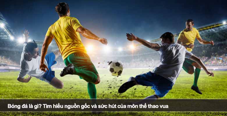 Bóng đá là gì? Tìm hiểu nguồn gốc và sức hút của môn thể thao vua 
