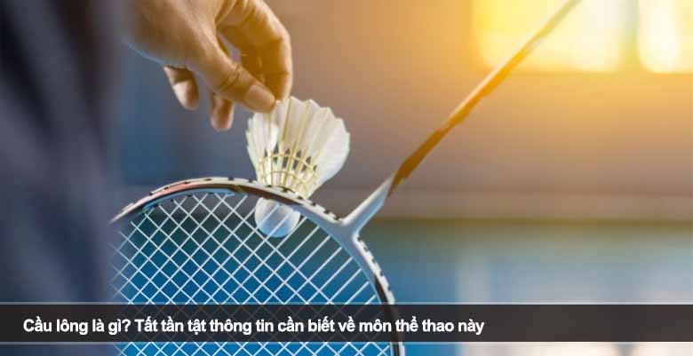 Cầu lông là gì? Tất tần tật thông tin cần biết về môn thể thao này 