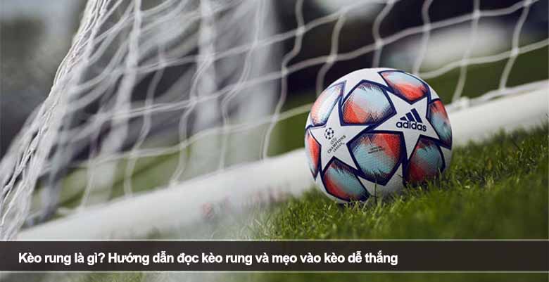 Kèo rung là gì? Hướng dẫn đọc kèo rung và mẹo vào kèo dễ thắng 