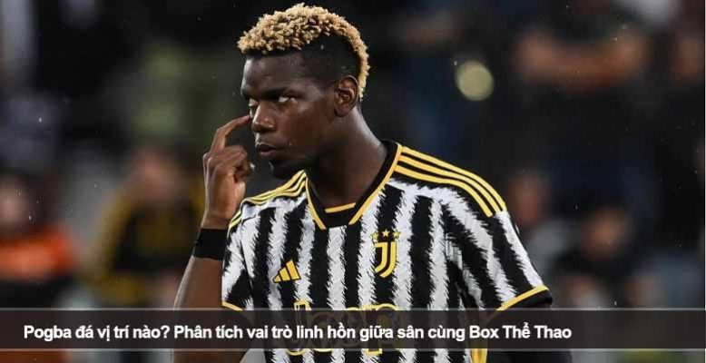 Pogba đá vị trí nào? Phân tích vai trò linh hồn giữa sân