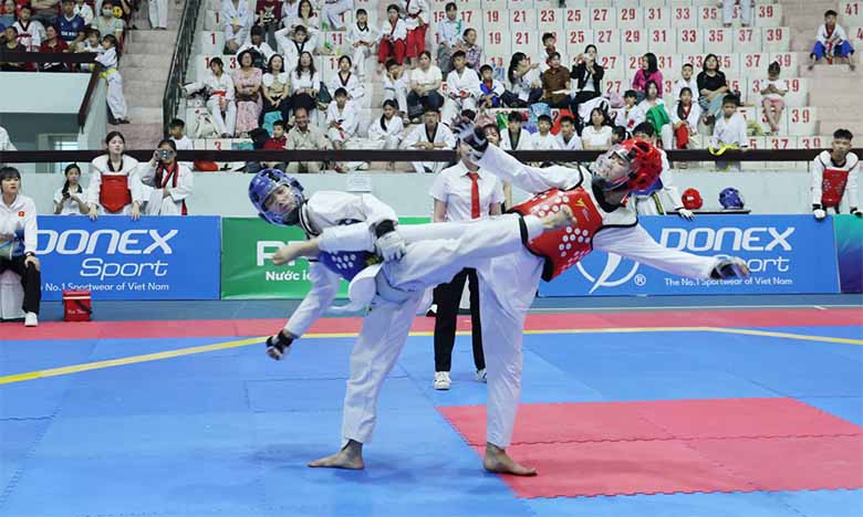 Thể thao đối kháng là gì? Ý nghĩa và sức hút trong đời sống